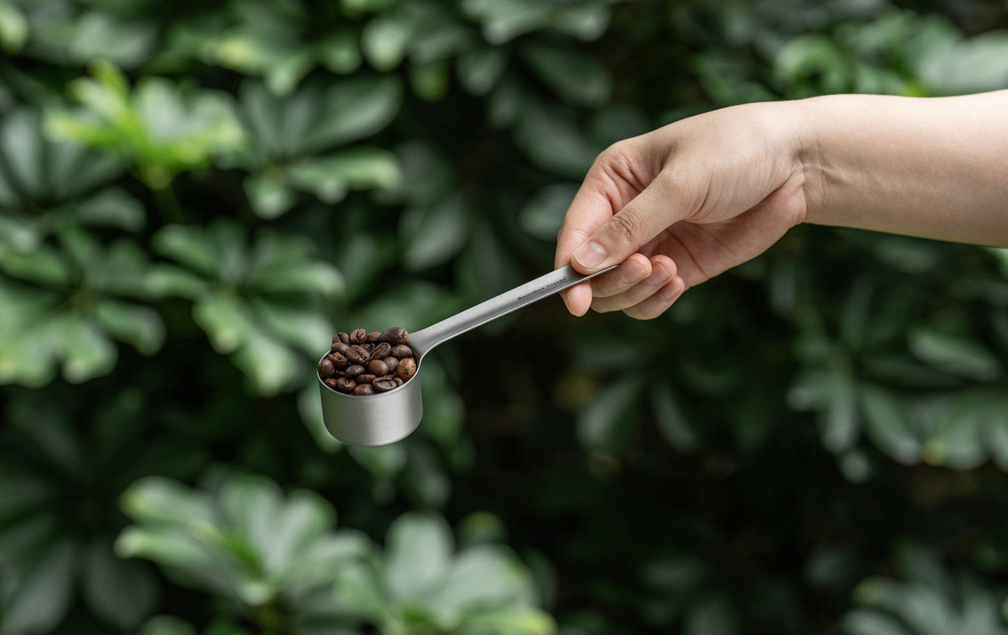 Boundless Voyage Titanium Coffee Scoop Ground Coffee and Beans Measuring Spoon Ice-cream Dessert Tea Sugar Spoon