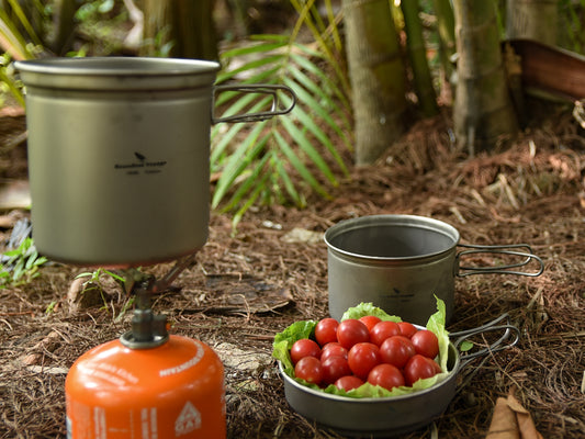 Boundless Voyage 2-Piece Titanium Pot & Pan Set | 900ml Pot + 500ml Lid/Bowl | Ultralight Nesting Cookware Kit with Folding Handles | Stove-Safe Mess Kit for Camping & Hiking