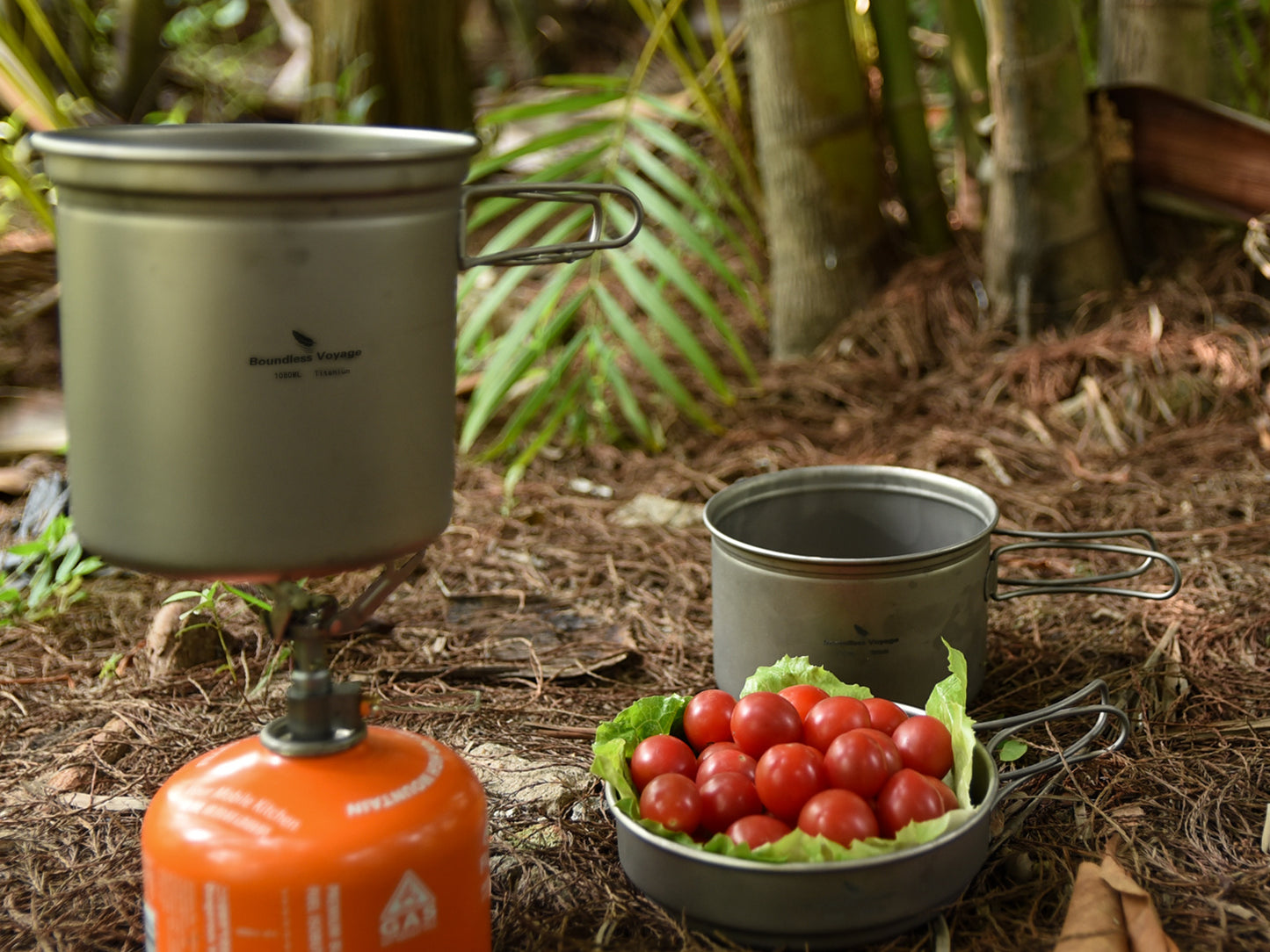 Boundless Voyage TA1 Titanium Camping Cookware Set – 500ml + 900ml + 1080ml Ultralight Pot & Bowl Mess Kit with Folding Handles