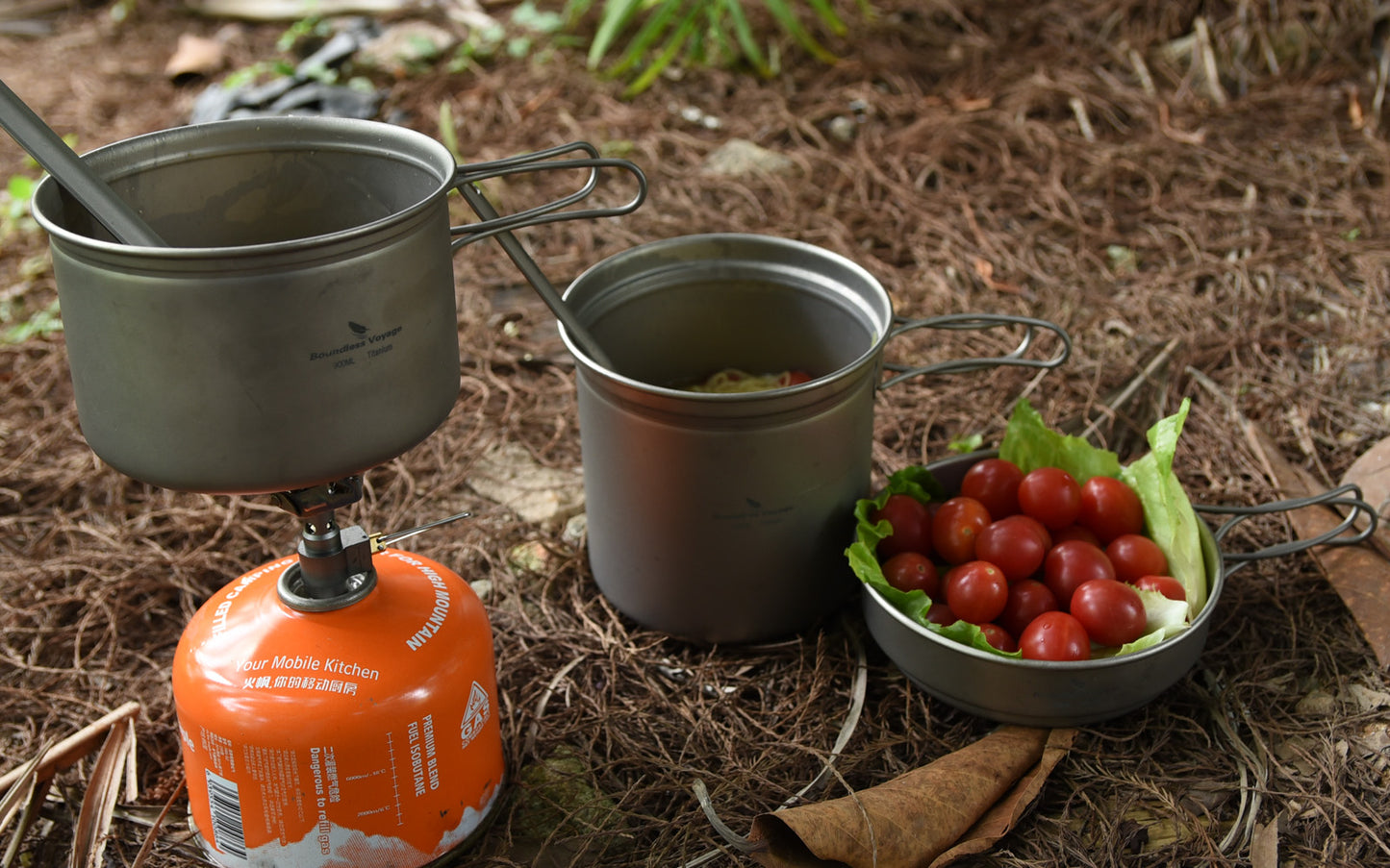 Boundless Voyage Outdoor Titanium Pot Pan Set 500ml+900ml with Lid Folding Handle Camping Hiking Picnic Ultralight Tableware