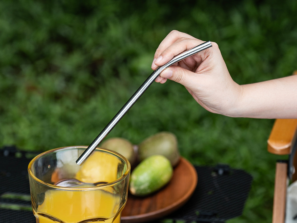 Boundless Voyage 213mm Titanium Bent Straw – TA1 Pure Titanium Reusable Drinking Straw with Cleaning Brush & Carry Bag