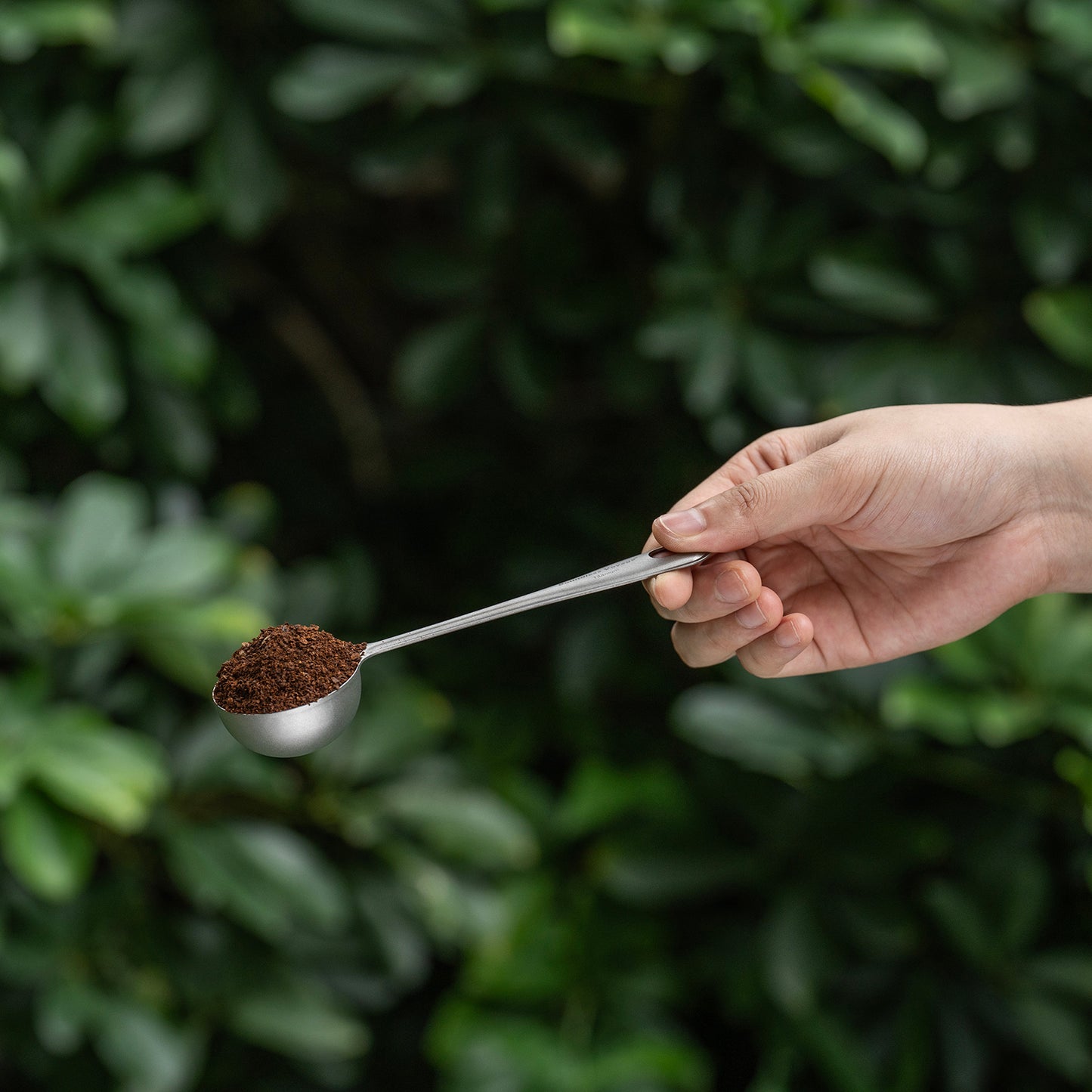 Boundless Voyage Titanium Coffee Scoop Ground Coffee and Beans Measuring Spoon Ice-cream Dessert Tea Sugar Spoon