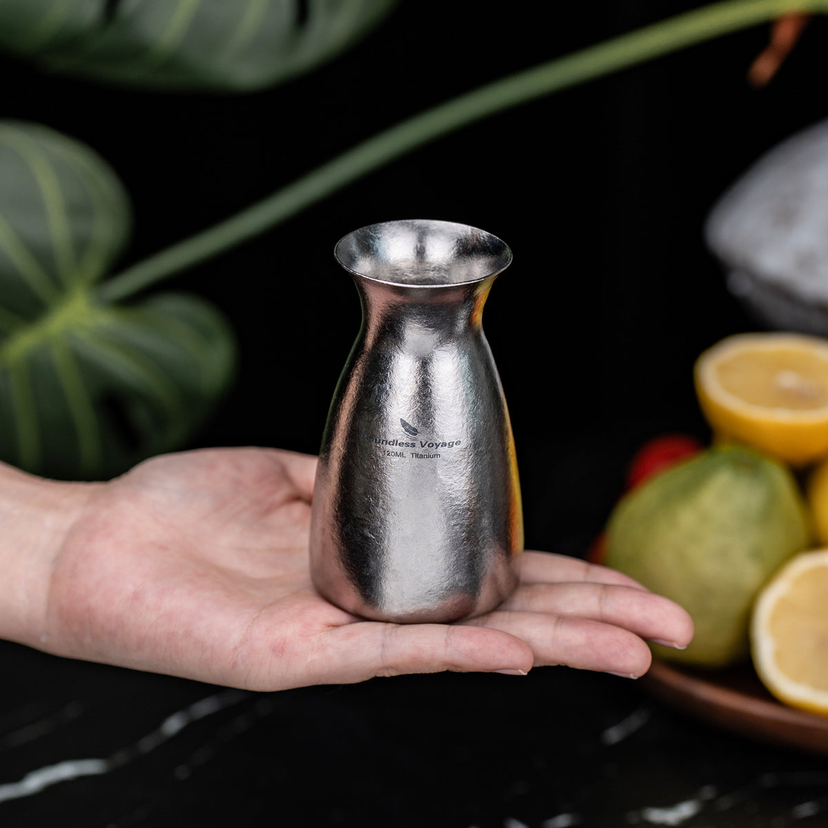 Boundless Voyage 120ml Pure Titanium Sake Carafe – Ultralight Japanese Sake Server for Whiskey, Spirits, Home Bar & Travel